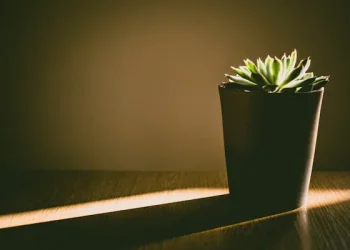 Eco-Friendly Home Renovations: Sustainable Materials and Practices