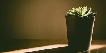 Eco-Friendly Home Renovations: Sustainable Materials and Practices