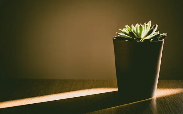 Eco-Friendly Home Renovations: Sustainable Materials and Practices