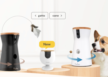 Furbo: The Perfect Solution for Dog Owners