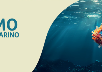 Acquaxcasa: Reliable Solutions for Domestic Water Treatment