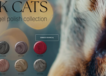 Reform: A Modern Approach to Interiors