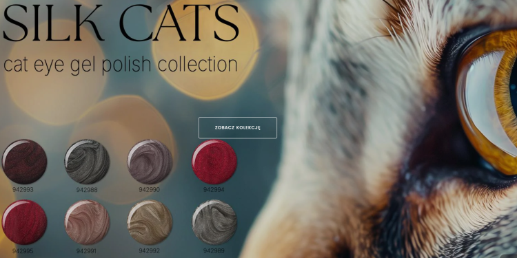 Reform: A Modern Approach to Interiors