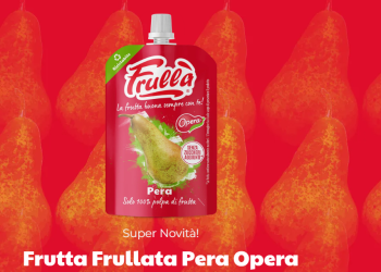 Blended Fruit: A World of Taste and Well-being at Your Fingertips