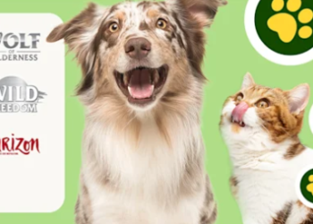 Zooplus: The Online Paradise for Our Animal Friends