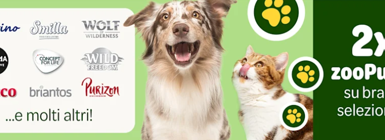 Zooplus: The Online Paradise for Our Animal Friends