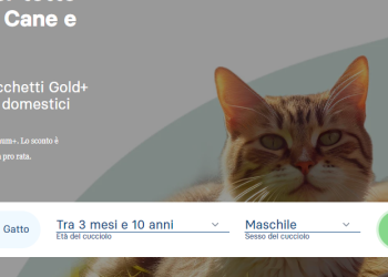 Canegatto: The Best for Your Pets