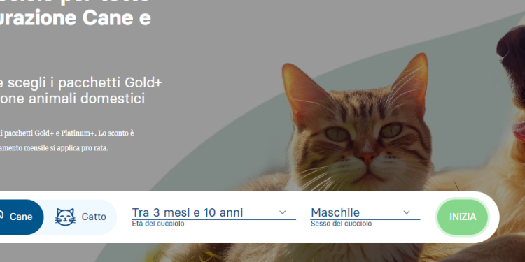 Canegatto: The Best for Your Pets