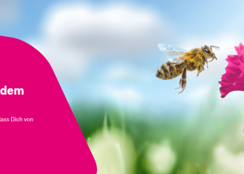 Telekom.de: A Comprehensive Overview of Products, Features, and Unique Selling Points