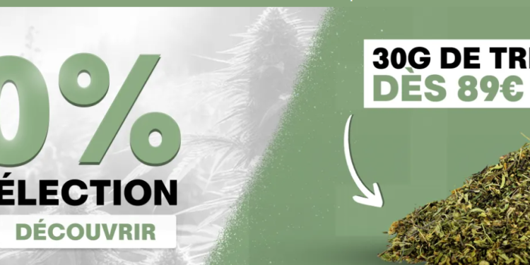 Weed Side Story: A Craft and Authentic Approach to CBD