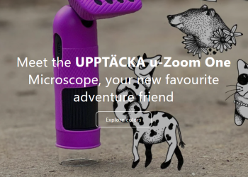 Discover Toys: Playful Learning with Heart, Imagination, and Quality