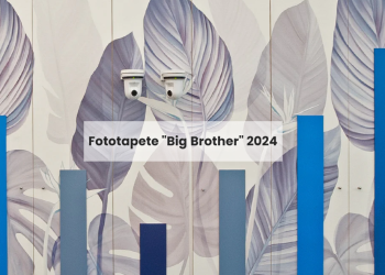 Wallpaperdream – Creative Wall Design with Character