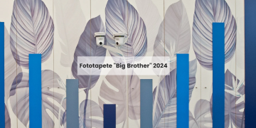 Wallpaperdream – Creative Wall Design with Character