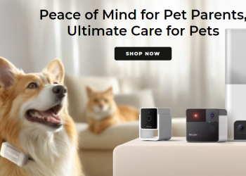 Petcube: Smart Technology that Brings You Closer to Your Pets