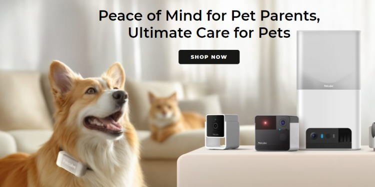 Petcube: Smart Technology that Brings You Closer to Your Pets