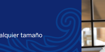 American Express Business: Financial Solutions Tailored to Your Company’s Real Needs