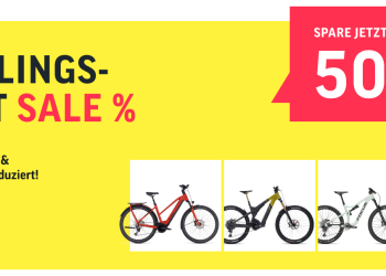 Bicycle Diversity with Expertise: What Makes Lucky Bike Special