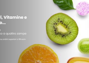 DoctorQuality: Health Care and Well-Being at Your Fingertips