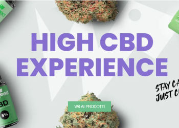 WeWeed: Quality, legality, and transparency in the world of light cannabis