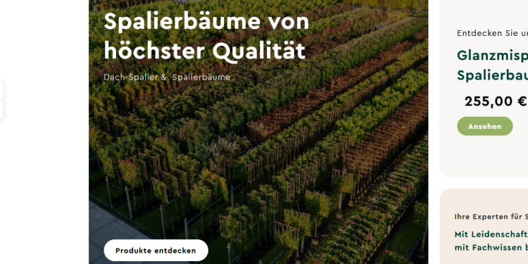 Espalier Tree Specialist: Custom Garden Design with Character