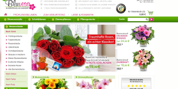 bluvesa: Flower Joy for Every Occasion – Quality, Variety, and Heart