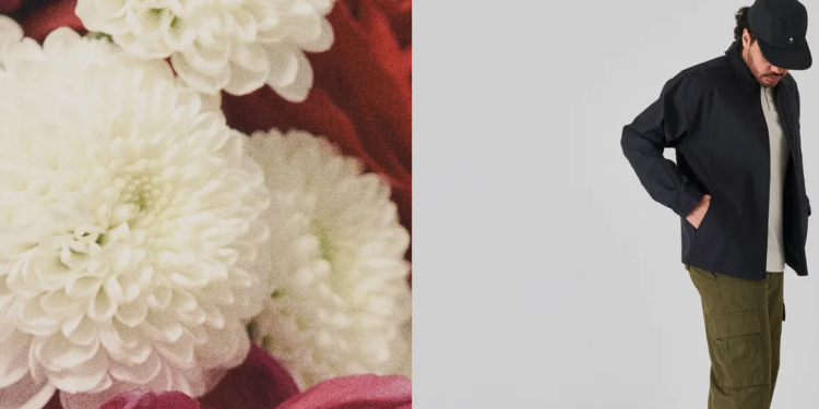 Snowboard Asylum: Premium Gear for True Riders