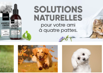 Animigo: Natural Products for Your Pets’ Health and Well-being