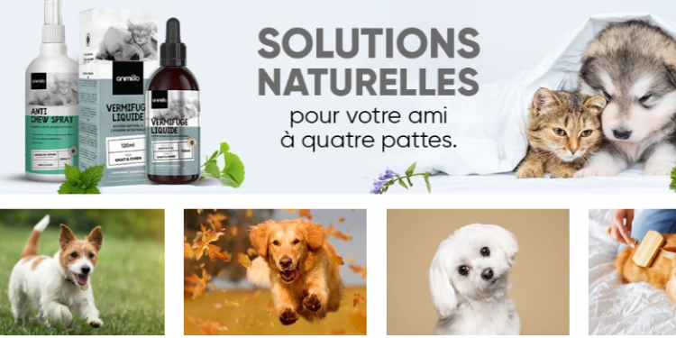 Animigo: Natural Products for Your Pets’ Health and Well-being
