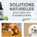 Animigo: Natural Products for Your Pets’ Health and Well-being