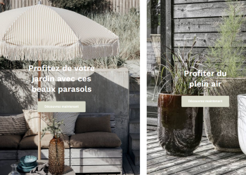 Living & Company: The Art of the Modern Home