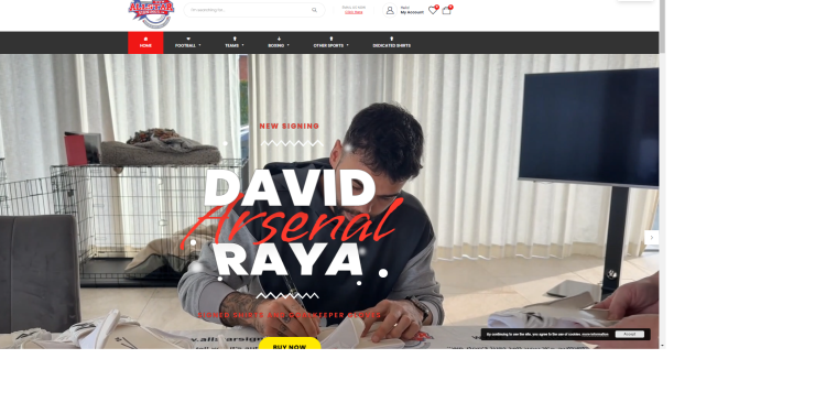 Experience the Thrill of Authentic Sports Memorabilia with All Star Signings