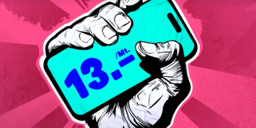 Solide Grundlagen und umfassendes Angebot