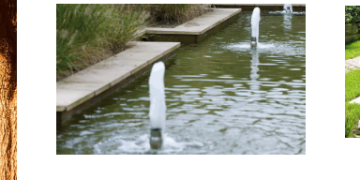 Bradshaw’s Direct: Your Trusted Source for High-Quality Products