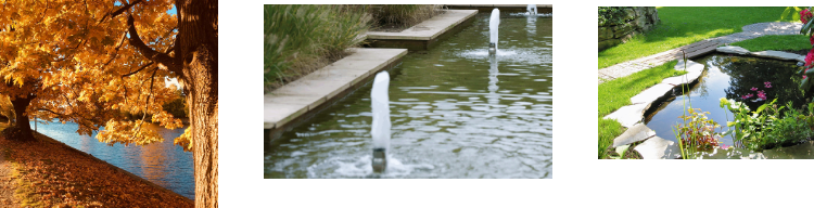 Bradshaw’s Direct: Your Trusted Source for High-Quality Products