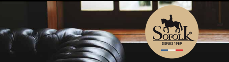 Rénovation du Cuir : des solutions complètes pour entretenir et restaurer le cuir en France