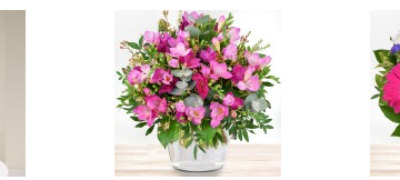 Bluvesa – Aquaristikprodukte für Hobby und Profi