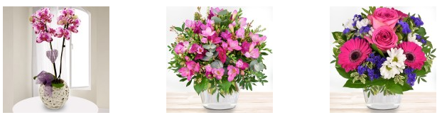 Bluvesa – Aquaristikprodukte für Hobby und Profi