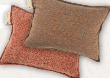 Pleafs – hochwertige CBD-Produkte für Gesundheit und Wohlbefinden