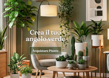 Be.green: Un Marchio Che Promuove la Sostenibilità e la Qualità