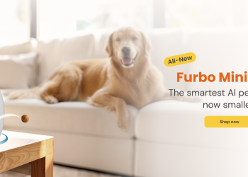 Furbo: The Smart Solution for Pet Parents