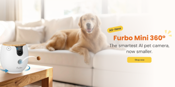 Furbo: The Smart Solution for Pet Parents