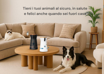 Perché scegliere Furbo: una videocamera per animali che fa più di un semplice monitoraggio