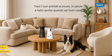 Perché scegliere Furbo: una videocamera per animali che fa più di un semplice monitoraggio