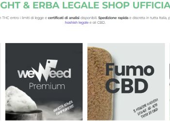 Cos’è e Perché Scegliere WeWeed