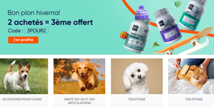 Animigo : Une Boutique pour le Bien-Être des Animaux