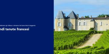 Perché Tannico è una scelta speciale per gli amanti del vino