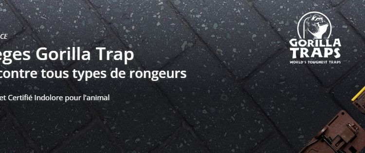 Bénéficier des solutions d’Action Anti Nuisible pour protéger votre maison