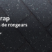Bénéficier des solutions d’Action Anti Nuisible pour protéger votre maison