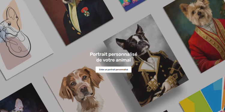 Profitez des avantages d’Animojo pour le bien-être de vos animaux