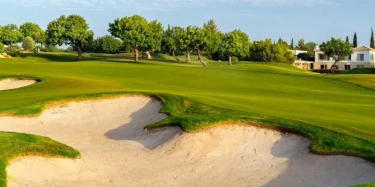 GreenFee365 : Une Plateforme Complète pour les Amateurs de Golf